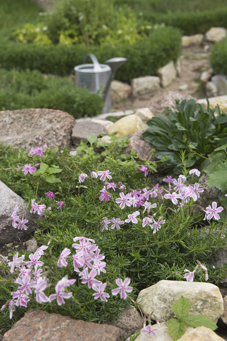 From simple to unique, Capasso Landscaping will work with you to ensure you have the best landscaping possible.